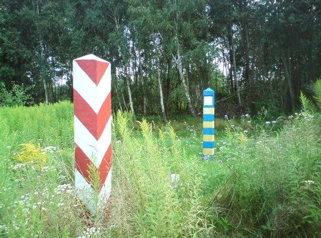 Może być zdjęciem przedstawiającym granicę polsko-ukraińską wśród lasu i zarośniętej trawy