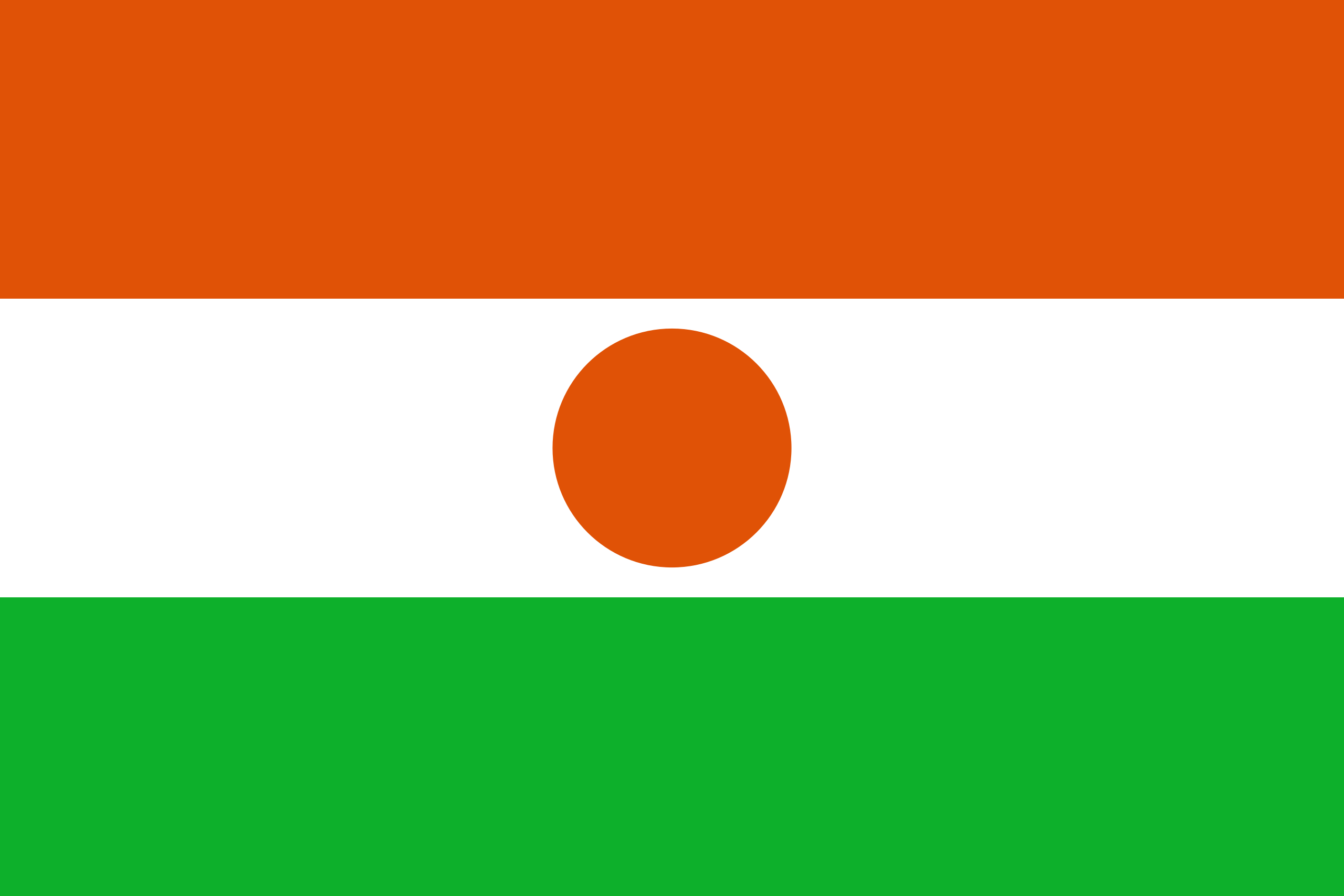 Może być zdjęciem przedstawiającym flagę Nigru